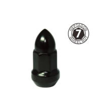 High Quality Heptagon Acorn Bolt -2